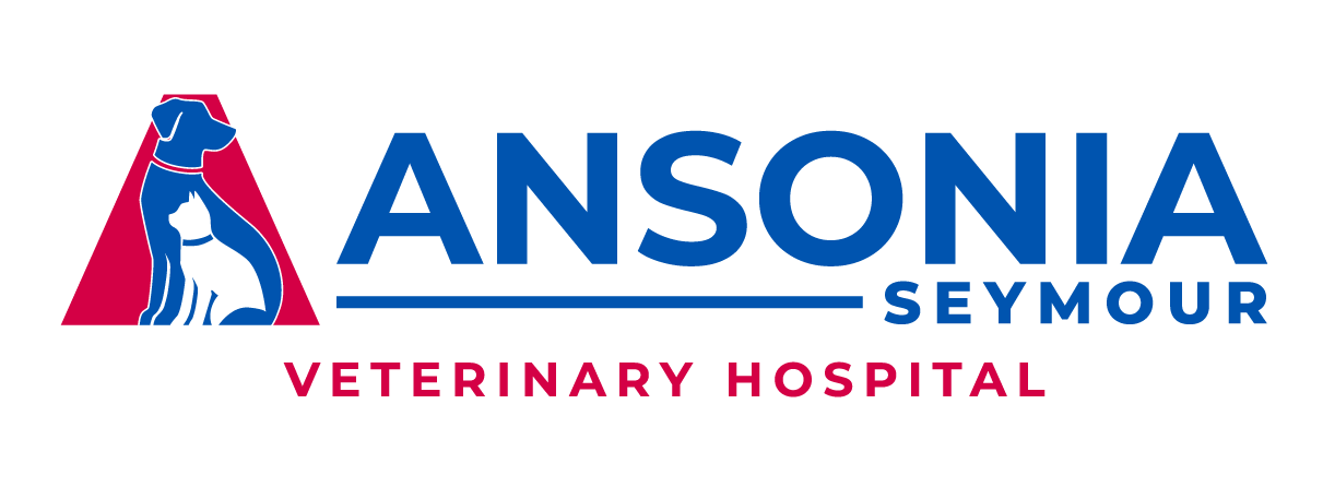 ANSONIAVETERINARYHOSPITAL_W