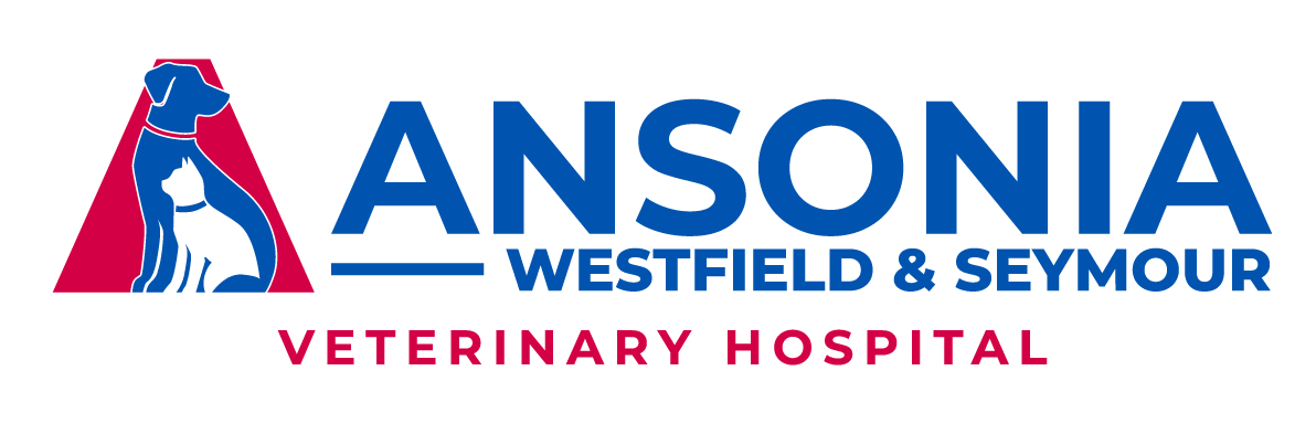 Ansonia Veterinary Hospital Westfield & Seymour