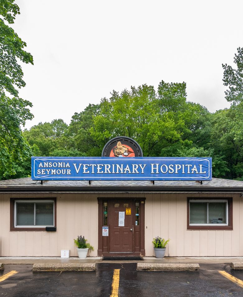 Ansonia Veterinary Hospital Contact Us banner Ansonia Veterinary Hospital building front