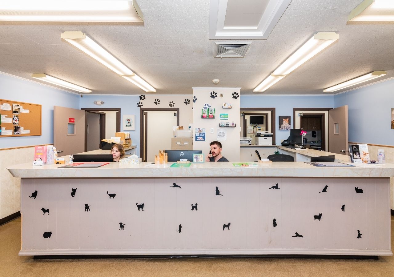 Ansonia Veterinary Hospital Reception