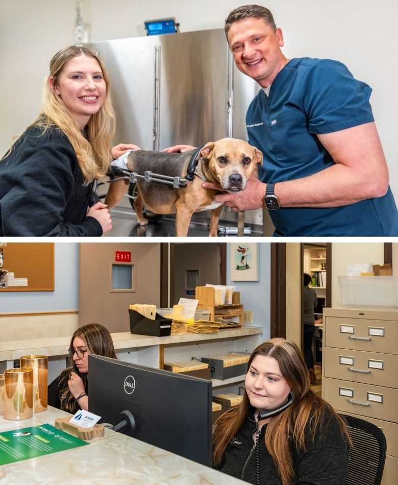 Ansonia Veterinary Hospital Team Collage