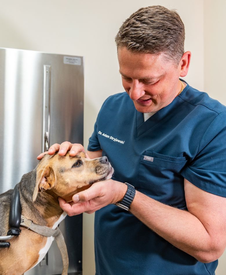 Dr. Adam examining a dog