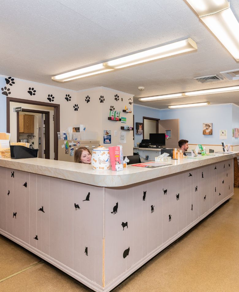 hospital information banner Ansonia Veterinary Hospital Front Desk